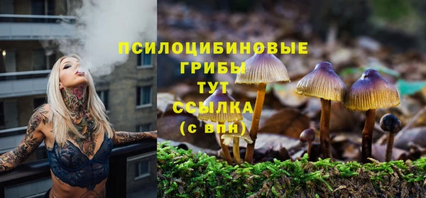 амф Новокубанск