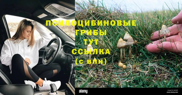 Альфа ПВП Нефтегорск