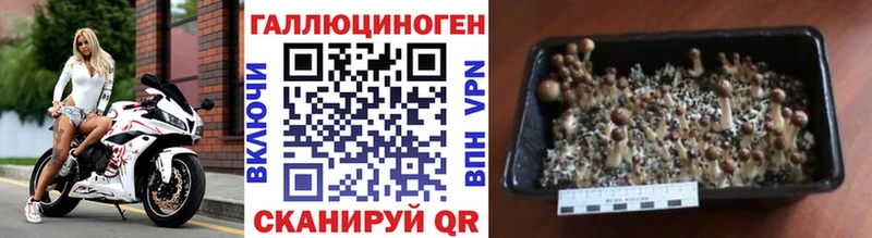 ОМГ ОМГ онион  как найти наркотики  Морозовск  Псилоцибиновые грибы MAGIC MUSHROOMS 