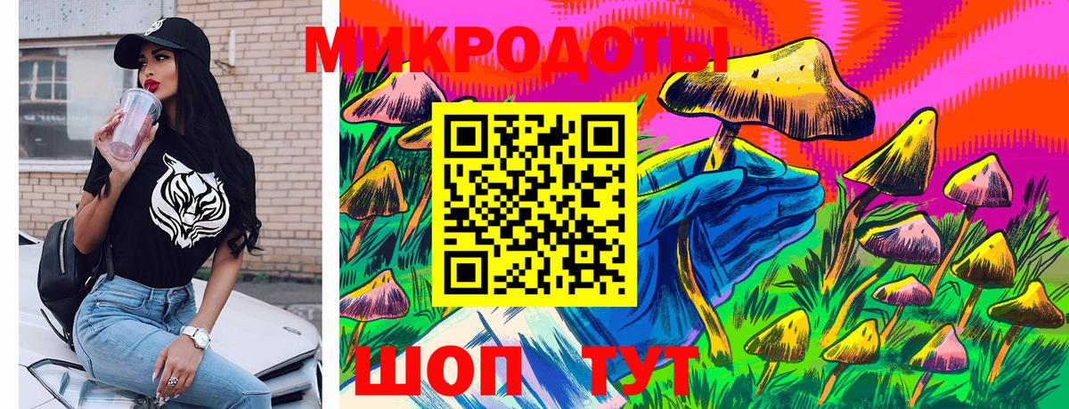 Псилоцибиновые грибы Psilocybine cubensis Морозовск