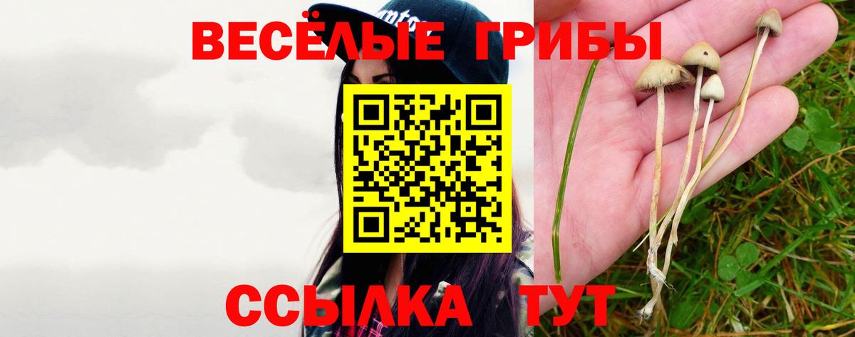 Галлюциногенные грибы Psilocybine cubensis  Псилоцибиновые грибы Psilocybe  Морозовск  Вход с VPN 